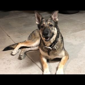 Meet your Posher, Martha